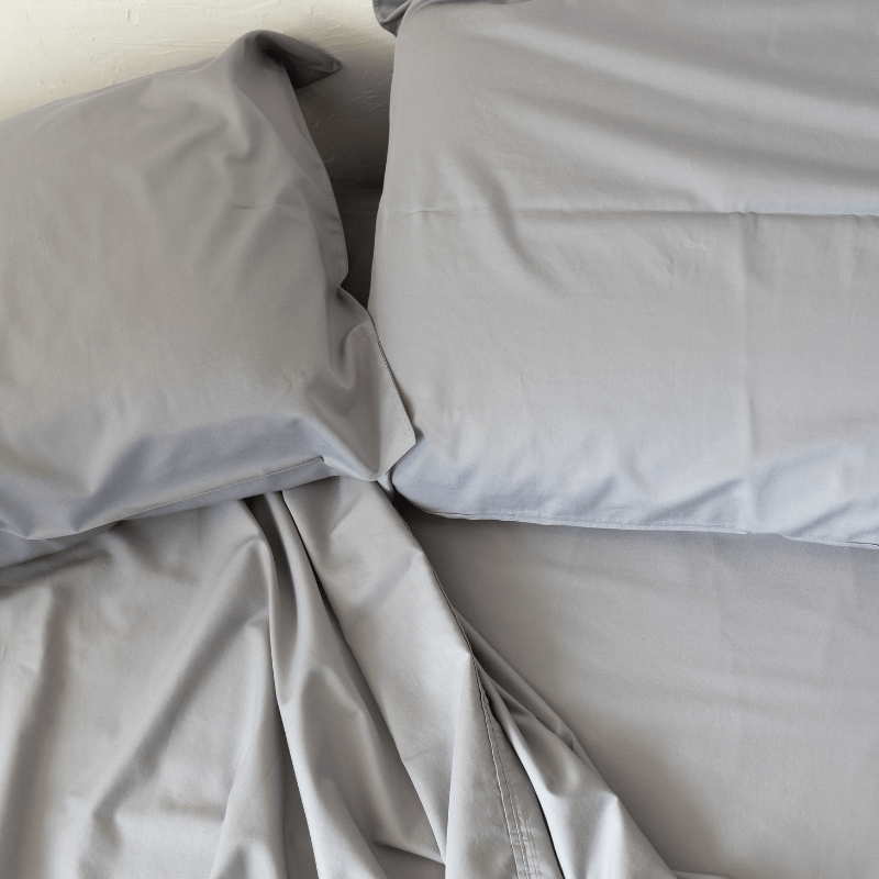 DreamLux 1000 Thread Count 100% Egyptian Cotton Pillow Case Set, 2